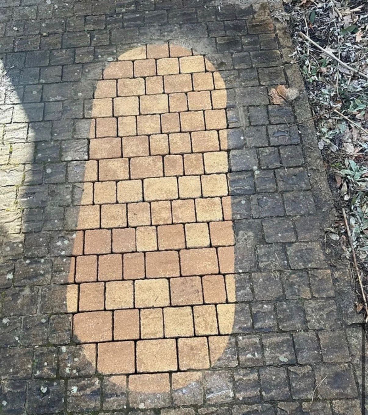 Kostenlose Probereinigung